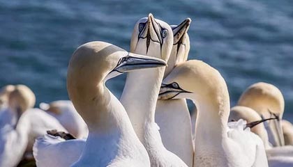 币圈资深玩家首选收藏｜2025权威全球十大加密货币交易所排名