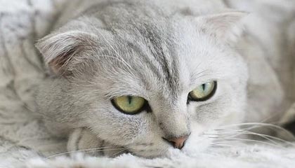 保定煌洪再生资源有限公司成立 注册资本100万人民币