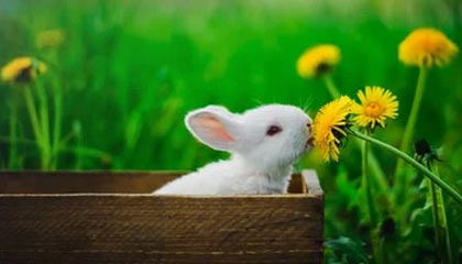 宝洪源智能机械（徐州）有限公司成立 注册资本1000万人民币