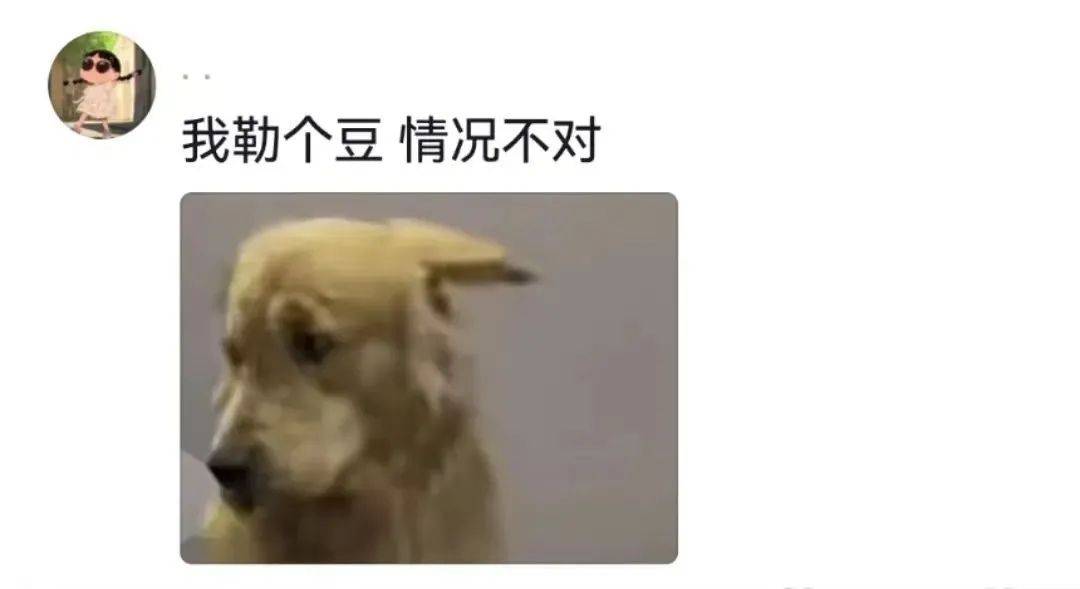 主人喝多了直接吐在狗子床上了，惊得狗子耳朵都要甩掉了，把主人硬拽好几米...狗子：我咧个豆，你自己没床吗？？