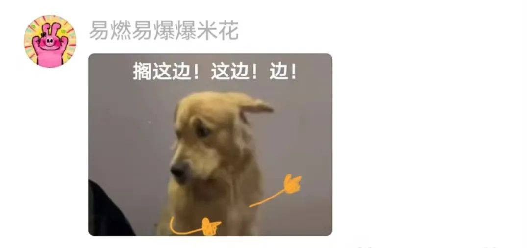 主人喝多了直接吐在狗子床上了，惊得狗子耳朵都要甩掉了，把主人硬拽好几米...狗子：我咧个豆，你自己没床吗？？