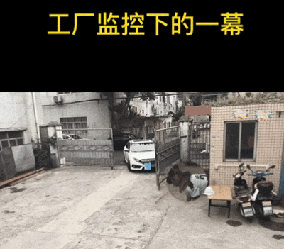 主人喝多了直接吐在狗子床上了，惊得狗子耳朵都要甩掉了，把主人硬拽好几米...狗子：我咧个豆，你自己没床吗？？