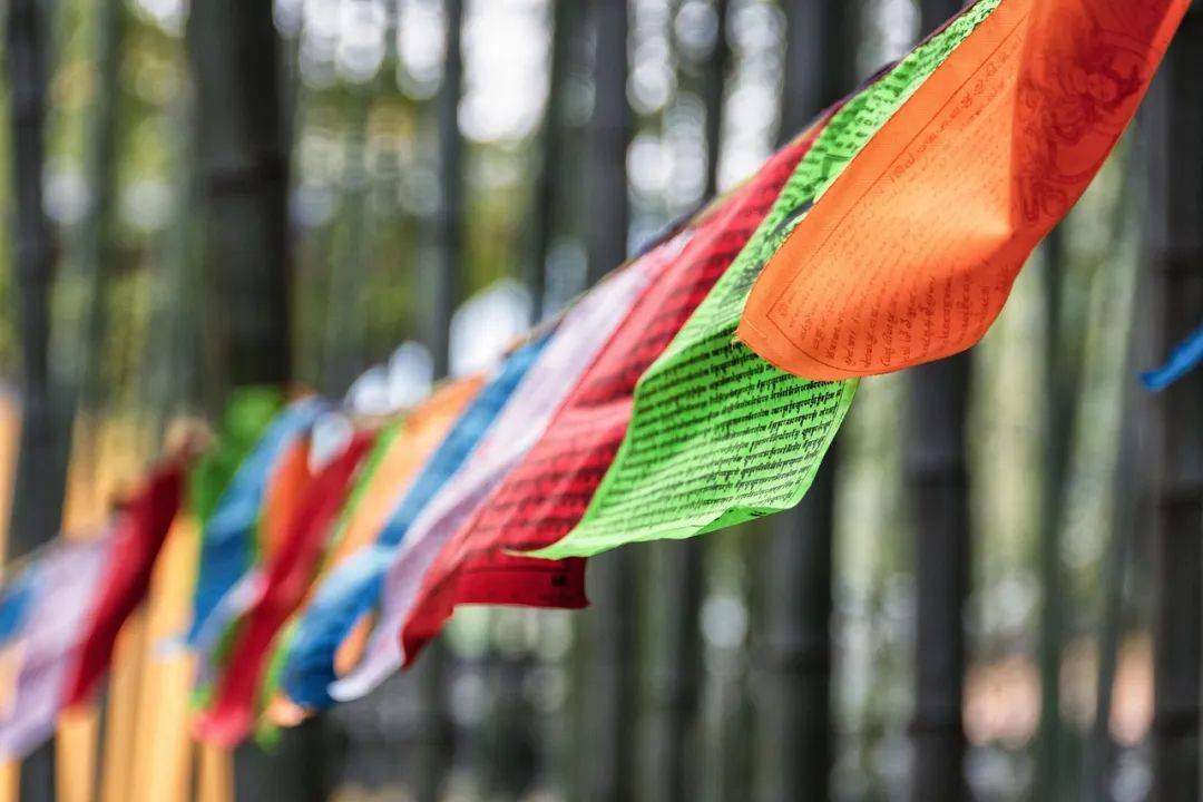 安遇情感：婚姻出现第三者，还能挽救吗？