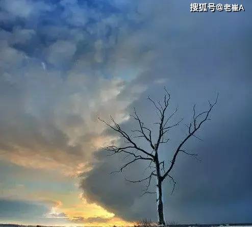 老崔：一个公式，教你如何选择币圈潜力币！