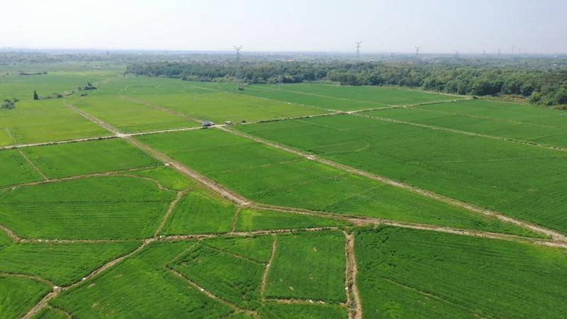 江西抚州：科技赋能抢收快烘 筑牢秋粮丰收防线