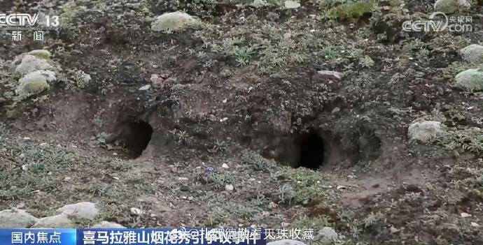 始祖鸟蔡国强炸山秀涉嫌多项违法，依法从严追责才能守住生态防线