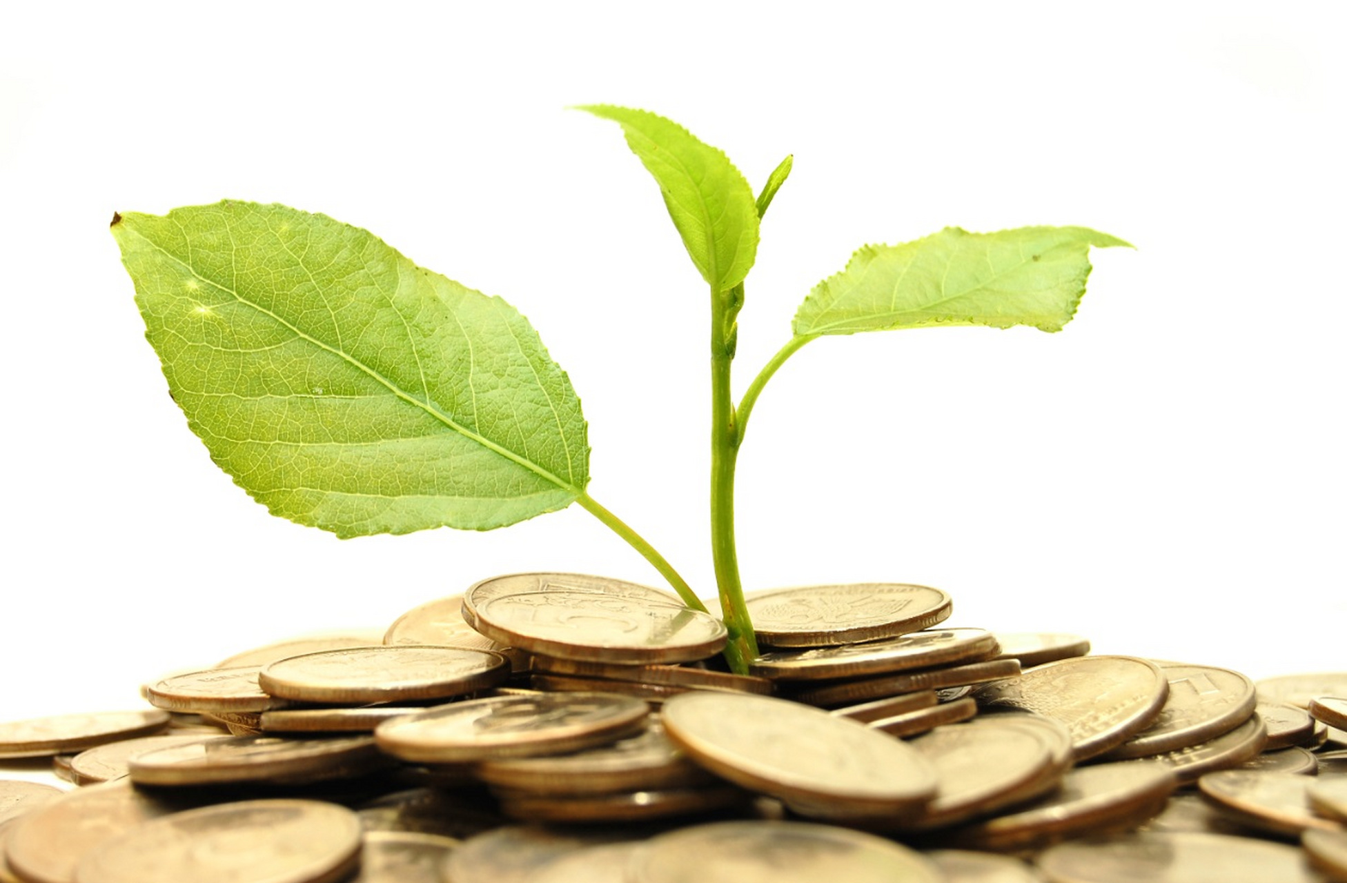 私募基金(私募基金从业资格证)